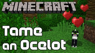 How to Tame an Ocelot in Minecraft [upl. by Greg137]