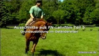 Vielseitigkeitsreiten mit Frank Ostholt Teil 1 [upl. by Hound]