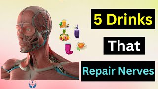 5 Drinks That Repair Nerves [upl. by Romano]