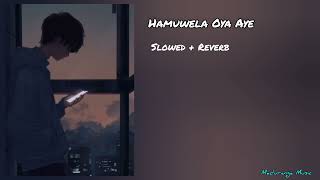 Hamuwela Oya Aye Slowed  Reverb Song [upl. by Nosimaj850]