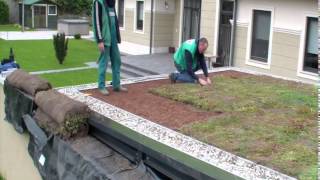 ArchiGreen® Ltd  Building an extensive green roof in a couple of hours [upl. by Uhn]