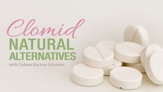 Natural Alternatives to Clomid [upl. by Ahc445]