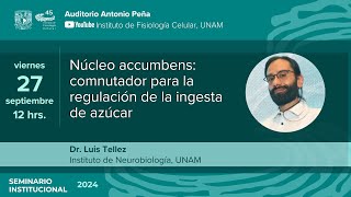 Núcleo accumbens conmutador para la regulación de la ingesta de azúcar [upl. by Eanel280]