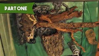 DIY 3D Foam Background  Bioactive Crested Gecko Terrarium Build [upl. by Sinnal]