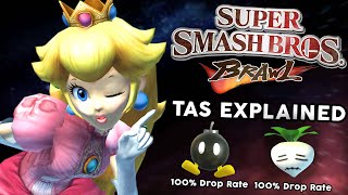 The Super Smash Bros Brawl TAS Is Incredible  Subspace Emissary 100 Explained [upl. by Hephzipah]