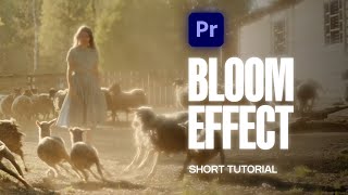 How to Add Film BLOOM Effect in Premiere Pro [upl. by Dorcea]