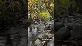 Rainy Fall Day at Lithia Park in Ashland OR [upl. by Heyer]