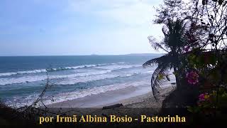 A beleza da mansidão por Irmã Albina Bosio Pastorinha [upl. by Carrelli360]