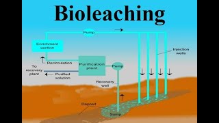 Bioleaching [upl. by Eissac]