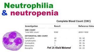 How is neutrophils count interpreted neutrophils leukocytes inflammation stress neutropenia [upl. by Ahseihs]