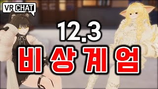 Koreans in VRChat React to Martial Law Imposition [upl. by Joyann]