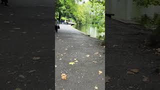 Walking Merrion Square A Serene Dublin Park Experience travel dublincastle irishcastles [upl. by Ayn]