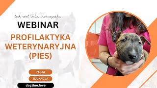 DARMOWY WEBINAR  profilaktyka weterynaryjna psy [upl. by Arreic]