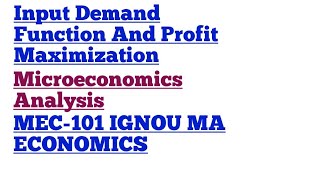 Input Demand Function And Profit Maximization MEC101 Microeconomics Analysis IGNOU MA ECONOMICS [upl. by Nebur]