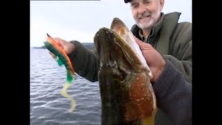 The Great RodRace Pike on Lures [upl. by Telford]