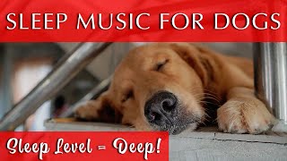 Music to Make Dogs Go to Sleep Fast  Sleep Level  DEEP [upl. by Enyt]