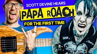 Pro Bassist hears PAPA ROACH for the FIRST Time [upl. by Enilrem]