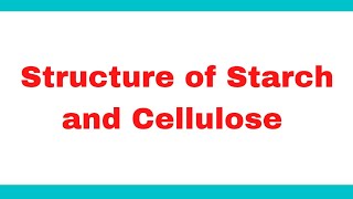 Structure of Starch and Cellulose  Structure of amylose and amylopectin [upl. by Rogerio]