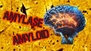 Amylase and Amyloid [upl. by Kreis]