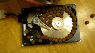 Seagate Barracuda 72007 Performance Test [upl. by Valina]