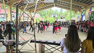 APHS INTRAMURALS 2024  BLACK PANTHER MASS DEMONSTRATION [upl. by Tremml]