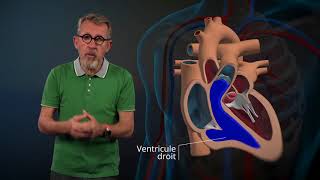 Le fonctionnement du cœur expliqué par Jamy [upl. by Ecad]