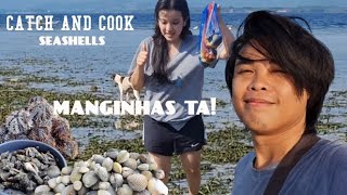 Catch amp Cook Seashell Foraging Adventure  Fresh Seafood by the Shore [upl. by Anividul]