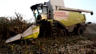 Maisdreschen mit Claas Lexion 750 TerraTrac in der Abenddämmerung [upl. by Laup]