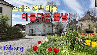 스위스 일상과 산책로 탐험Kyburg 아름다운봄날 산책 꽃길 switzerland [upl. by Tierell]