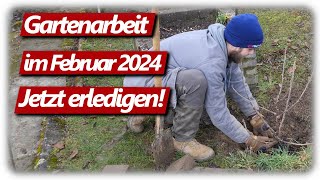 Gartenarbeit Februar  Feigen schneiden Weinreben Gartenplanung Johannisbeeren pflanzen amp düngen [upl. by Eical]