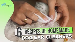 6 Recipes of Homemade Dog Ear Cleaners [upl. by Niletac]