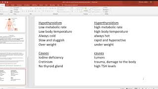 video 7 endocrine system thyroid parathyroid pineal gland [upl. by Aihsekel]