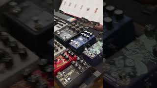 First impression of the the Walrus Audio MAKO M1 MK II on Guitar Summit 2024 [upl. by Llennoj]