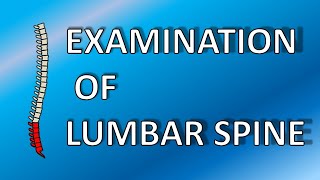 Neurological examination of lower back pain motor sensory And reflexes examination [upl. by Zadoc]