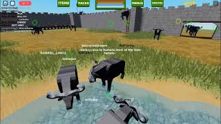 NEW buffalo update in playbox safari ROBLOX [upl. by Leod444]