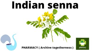 Cassia angustifolia Senna indian senna  plant containing anthraquione glycosides explain detail [upl. by Atnoled]