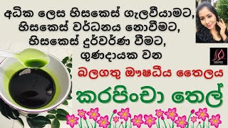 කරපිංචා තෙල් නිවැරදිව හදමු  Homemade Curry Leaves Oil for hair growth curryleaveshairoil hairoil [upl. by Rotow]