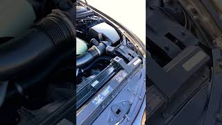 E63 645Ci Coupe gets CHF11s Powersteering Fluid BMW CHF11s carmaintenance carculture [upl. by Eanar767]