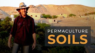 Supporting SOILS on International Permaculture Day [upl. by Henderson540]