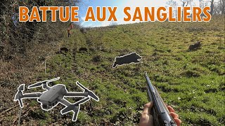 Une BATTUE filmée au DRÔNE   Tirs de plusieurs sangliers [upl. by Sven]