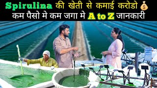 Spirulina की खेती कम जगा कम पैसे मे कमाओ करोडो Spirulina farming spirulina [upl. by Anaitsirhc]