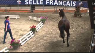 Be Bop de lEpine  2 ans  Le Mans mai 2013 [upl. by Cyrill174]