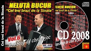 NELUTA BUCUR  Cei trei brazi de la Sinaia oficial audio [upl. by Agosto]