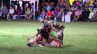 Oklahoma Indian Nations Powwow 2014 [upl. by Adnawuj]