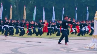 Gerak Kolosal Seni TUNGGAL IPSI kapolrescup2022  Bojonegoro Kampung Pesilat [upl. by Ardnuaed177]