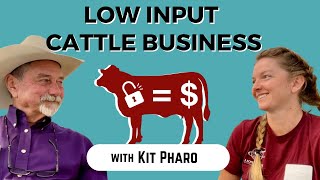 Low Input Cattle Business with Kit Pharo [upl. by Karia]