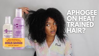 HOW TO Aphogee 2 Step Protein Treatment Natural Hair  HOW TO Repair Heat Damaged Hair [upl. by Ssepmet]