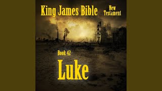 Gospel of Luke  New Testament  12 [upl. by Atiugram]