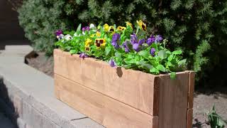 How to Build a DIY Planter Box [upl. by Hoeg]