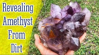 Spectacular Amethyst Crystals being found amp cleaned up [upl. by Ahsiad985]